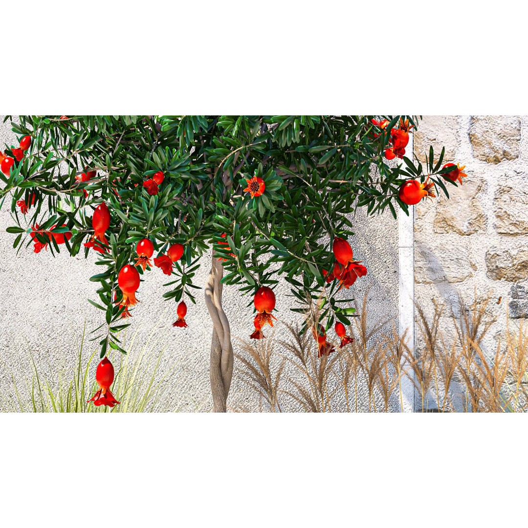 Garden with Lavender and Flowering Pomegranate Trees 3D Model – PBR Landscape Asset, FBX - View 6