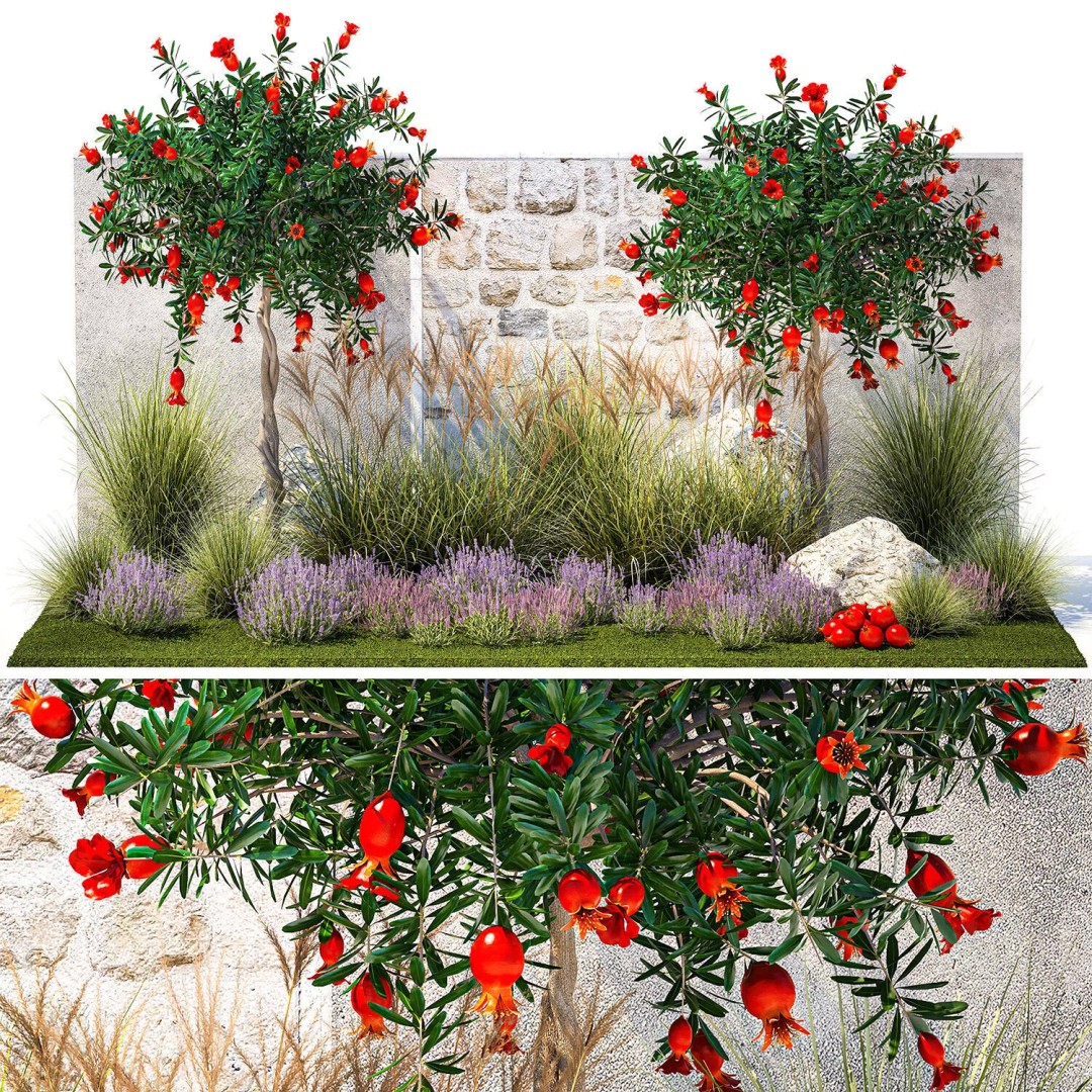 Garden with Lavender and Flowering Pomegranate Trees 3D Model – PBR Landscape Asset, FBX - View 8