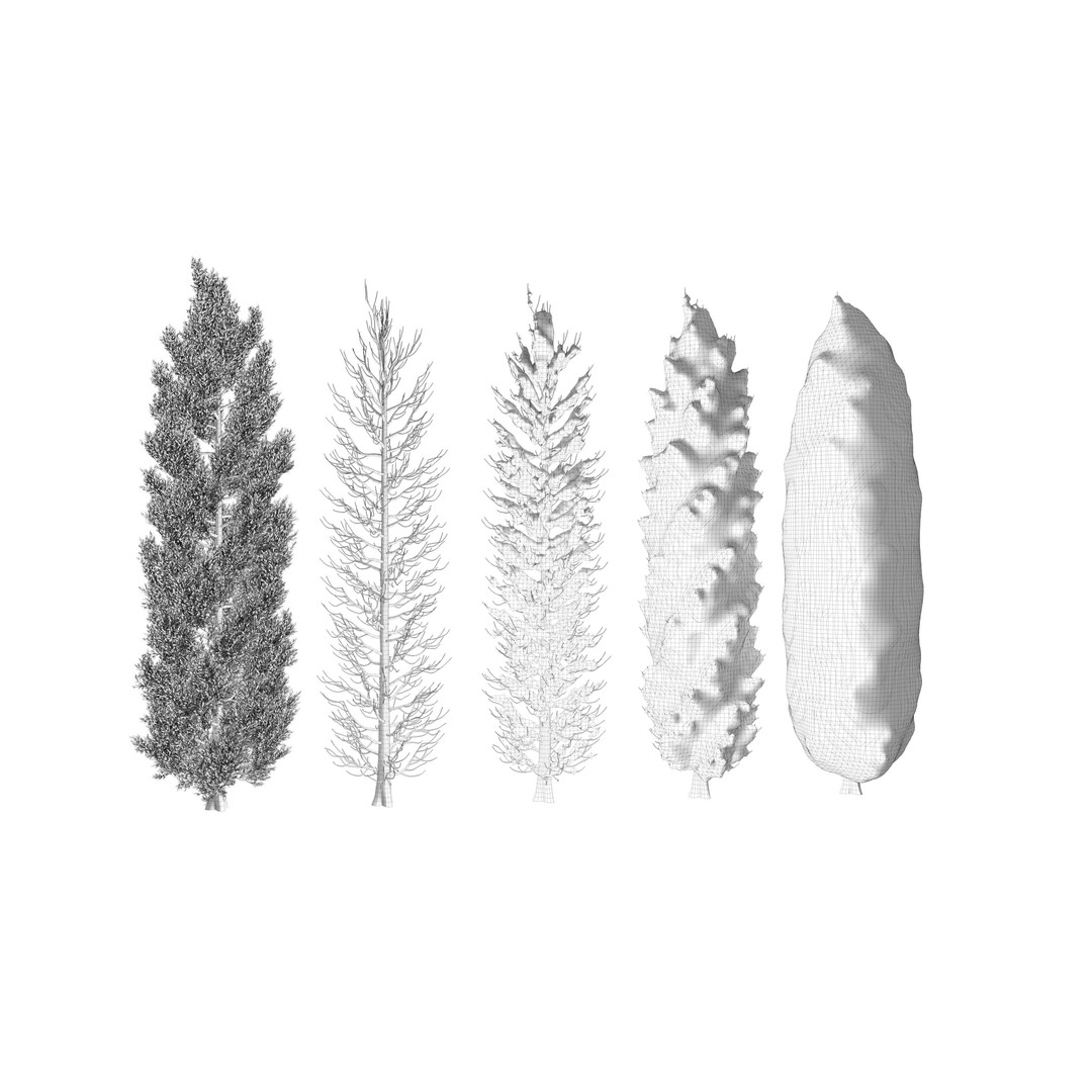 Tuscan Cypress Tree Collection 3D Model – High Poly PBR Asset, C4D, FBX, OBJ - View 14