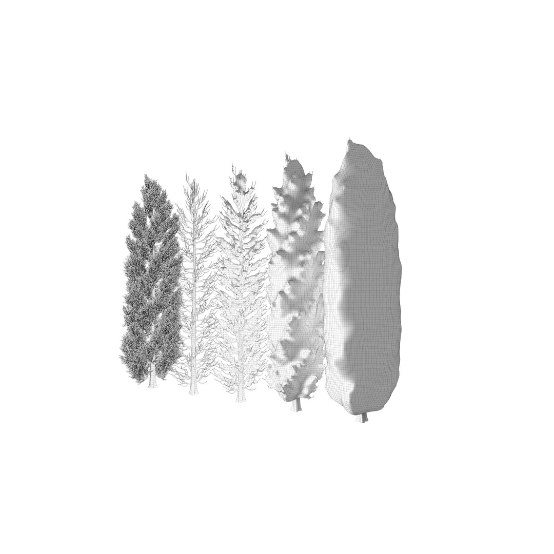 Tuscan Cypress Tree Collection 3D Model – High Poly PBR Asset, C4D, FBX, OBJ - View 15