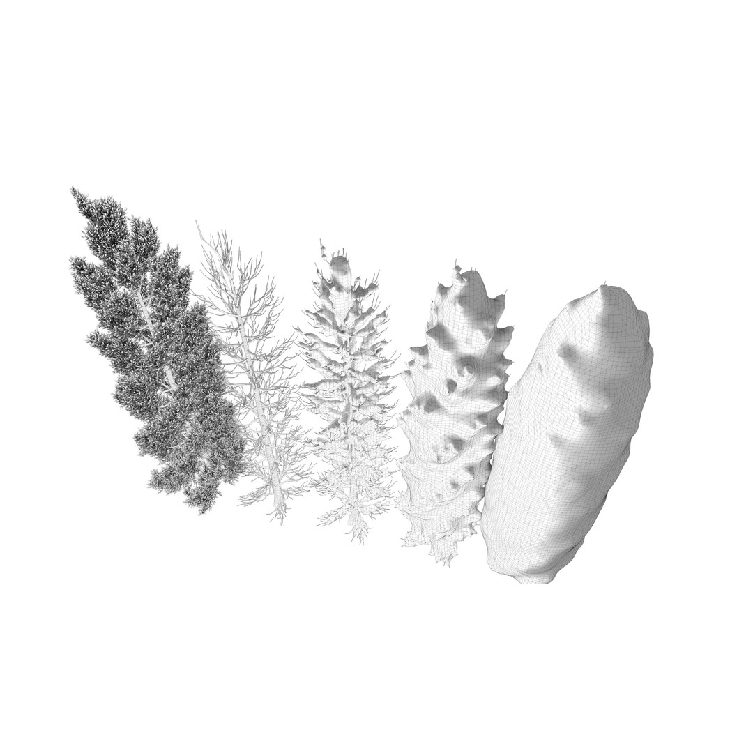 Tuscan Cypress Tree Collection 3D Model – High Poly PBR Asset, C4D, FBX, OBJ - View 16