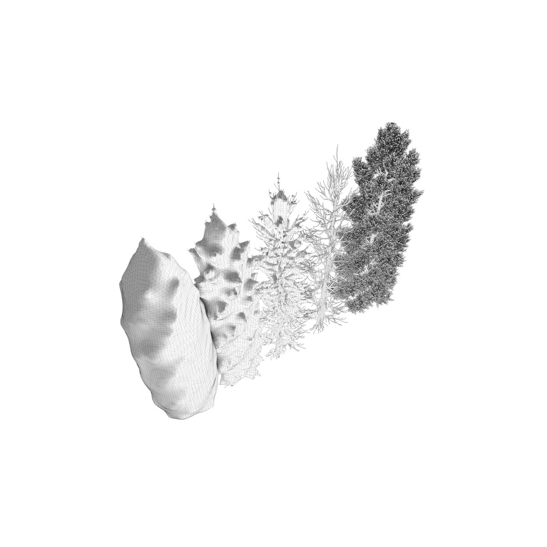 Tuscan Cypress Tree Collection 3D Model – High Poly PBR Asset, C4D, FBX, OBJ - View 17