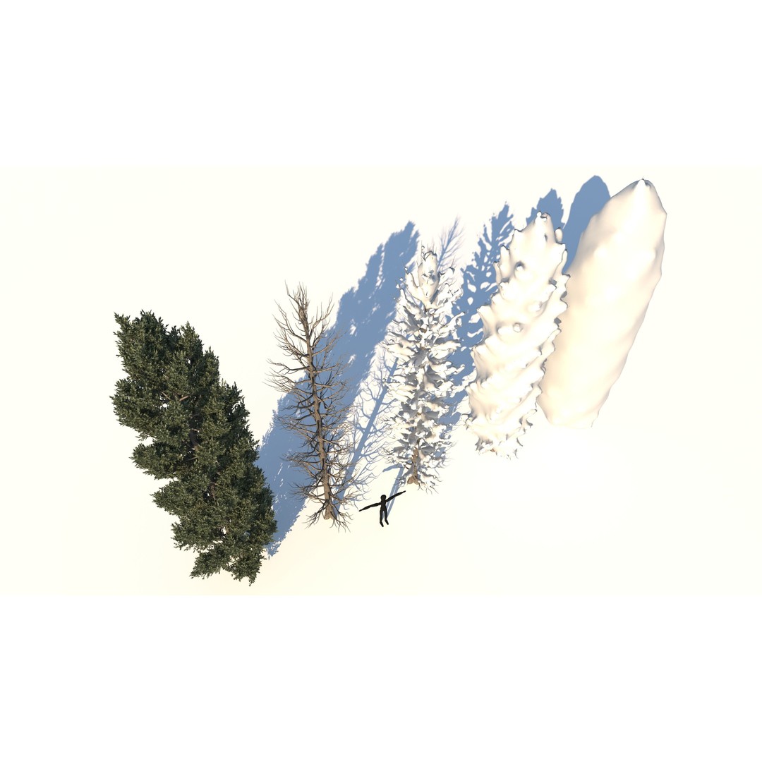 Tuscan Cypress Tree Collection 3D Model – High Poly PBR Asset, C4D, FBX, OBJ - View 5