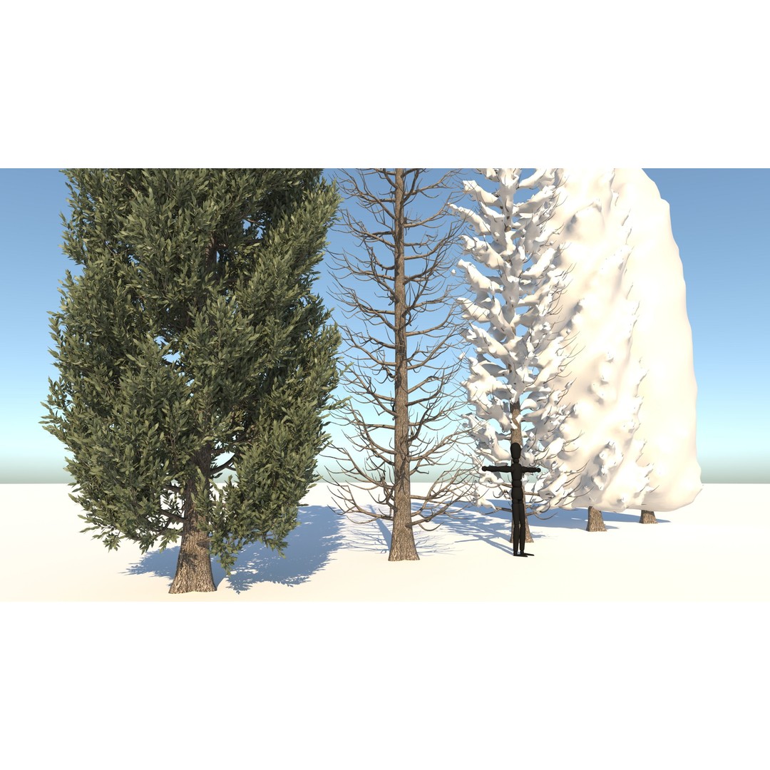 Tuscan Cypress Tree Collection 3D Model – High Poly PBR Asset, C4D, FBX, OBJ - View 6