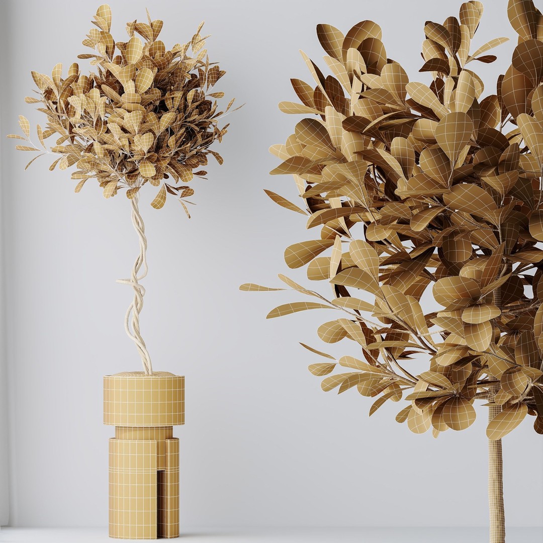 Ficus Microcarpa Moclame 3D Model – Realistic Pot Plant for Archviz