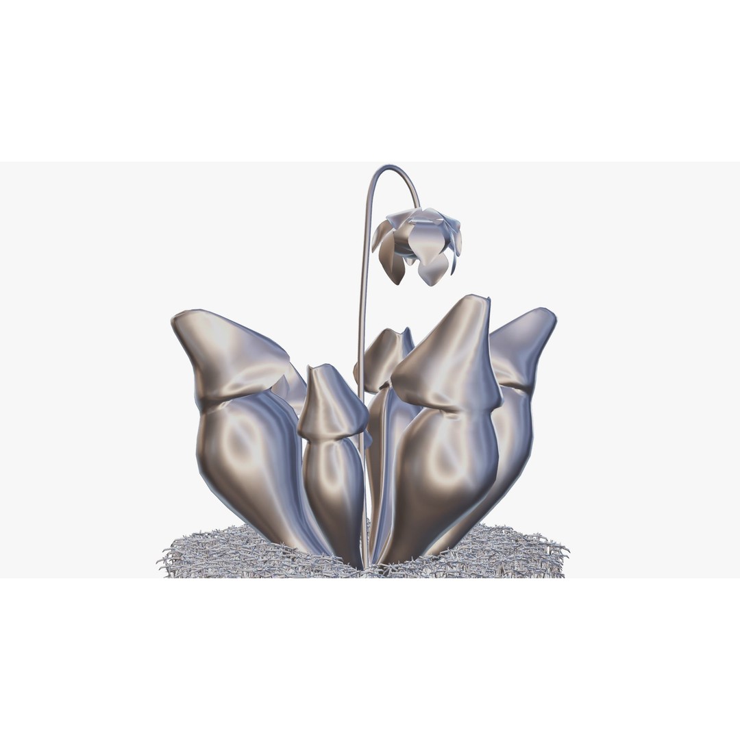 Sarracenia Purpurea 3D Model – PBR Textured Carnivorous Plant, Blender, FBX, OBJ
