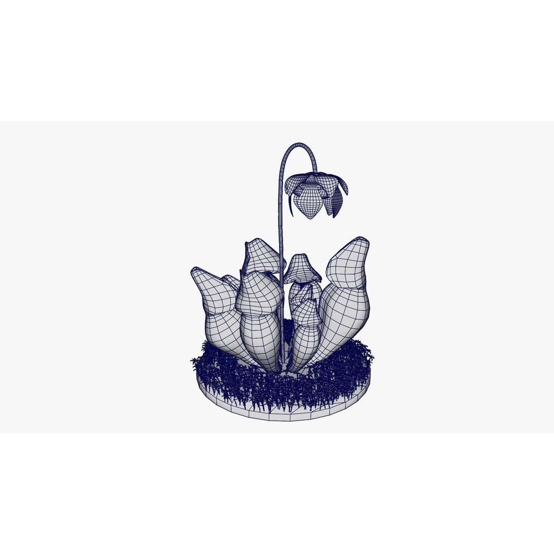 Sarracenia Purpurea 3D Model – PBR Textured Carnivorous Plant, Blender, FBX, OBJ - View 20