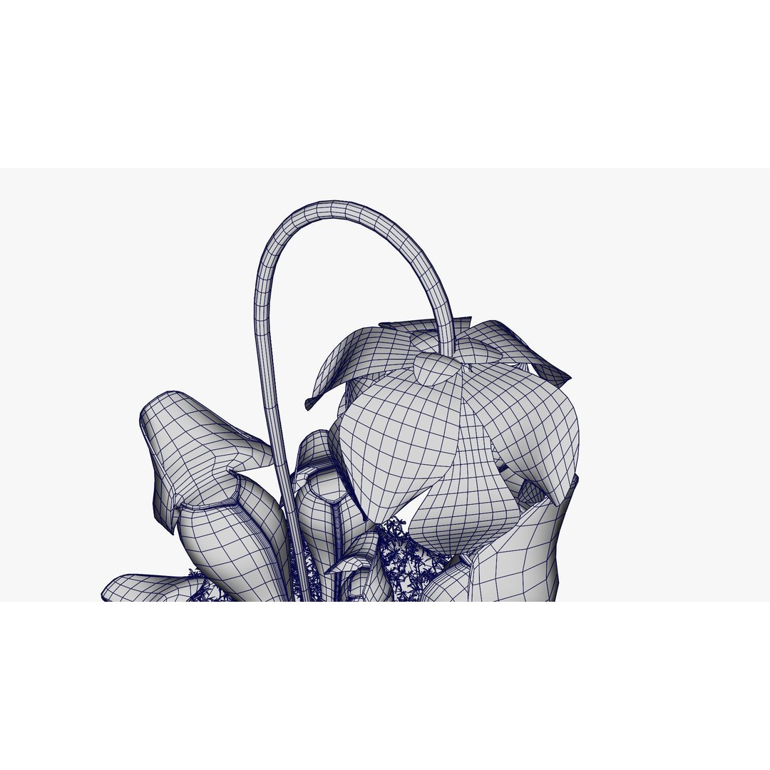 Sarracenia Purpurea 3D Model – PBR Textured Carnivorous Plant, Blender, FBX, OBJ - View 23