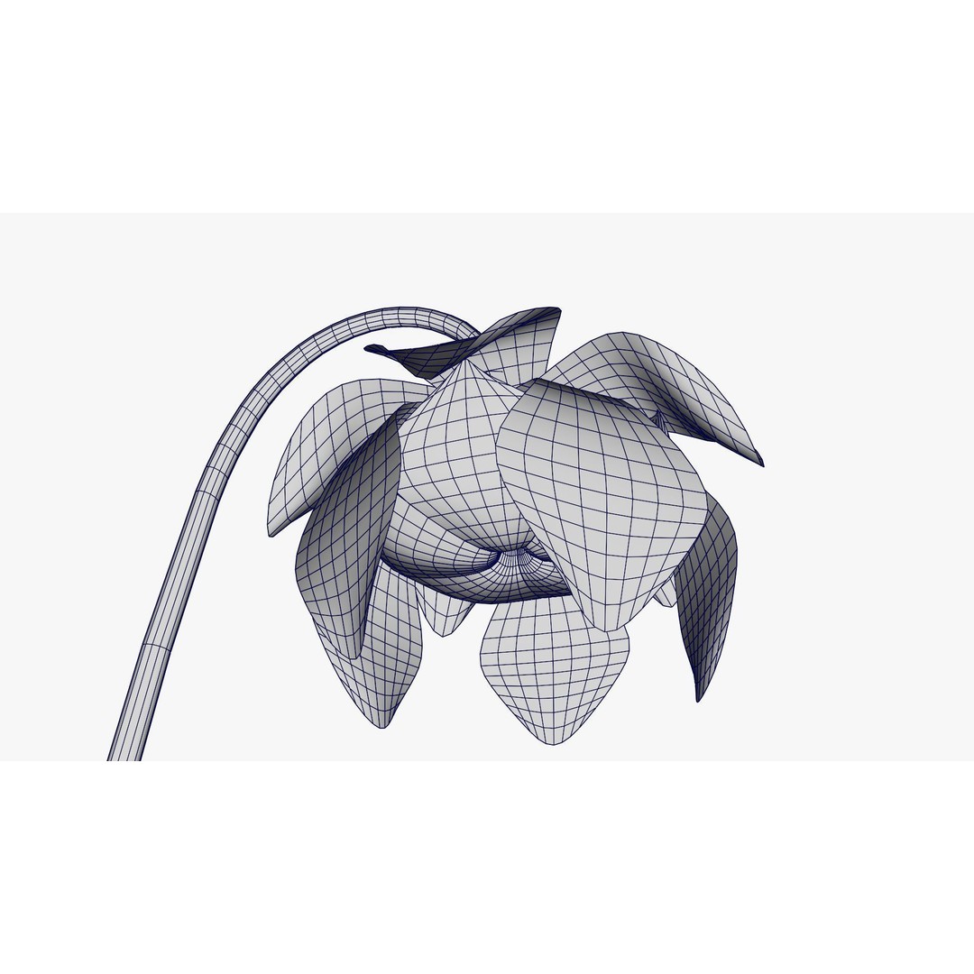 Sarracenia Purpurea 3D Model – PBR Textured Carnivorous Plant, Blender, FBX, OBJ - View 24
