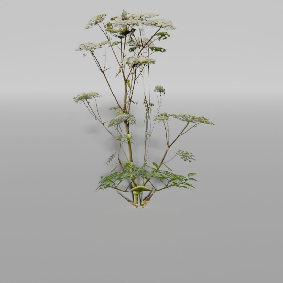 Low-Poly Plants 3D Model – Game-Ready Asset, Blender, FBX - View 10