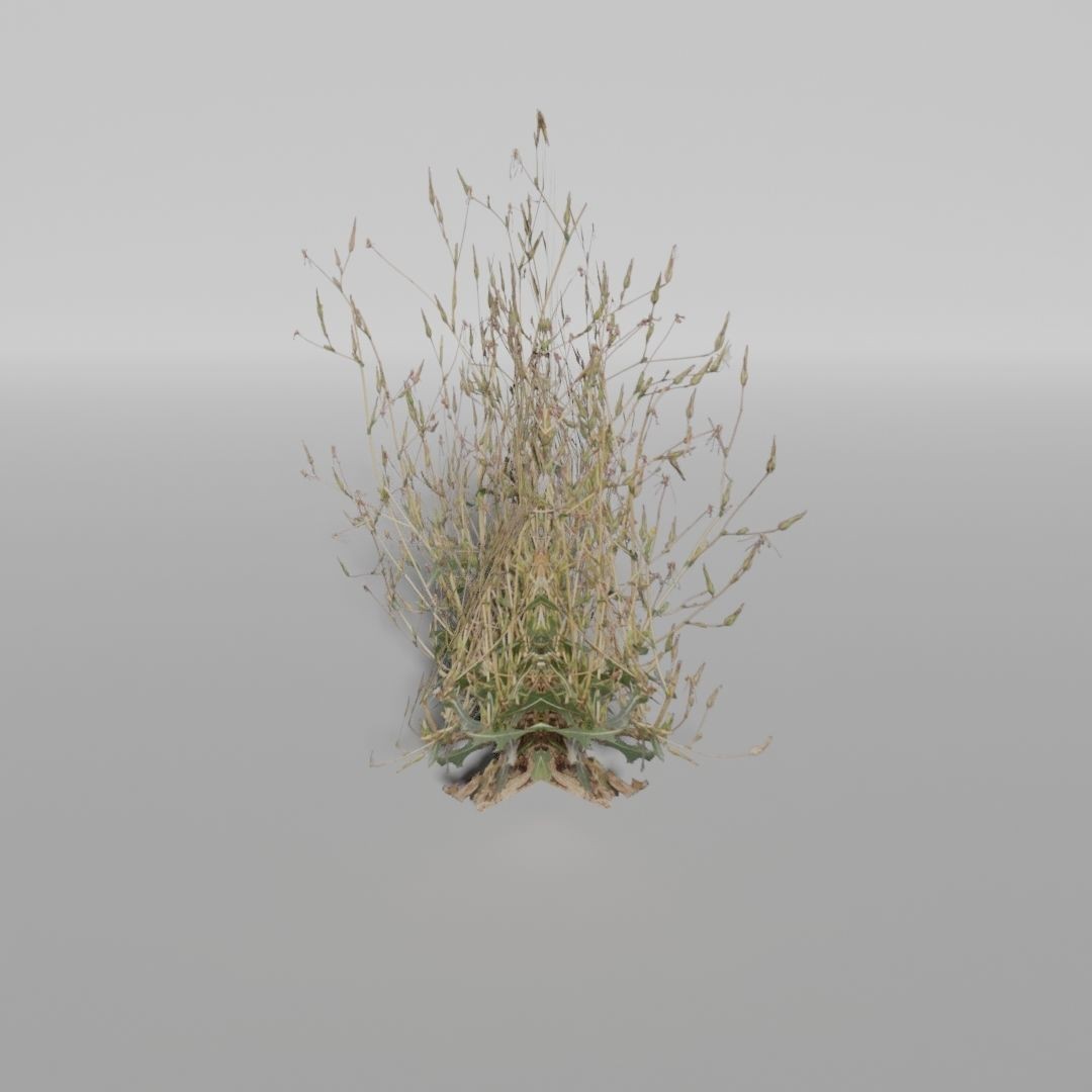 Low-Poly Plants 3D Model – Game-Ready Asset, Blender, FBX - View 11