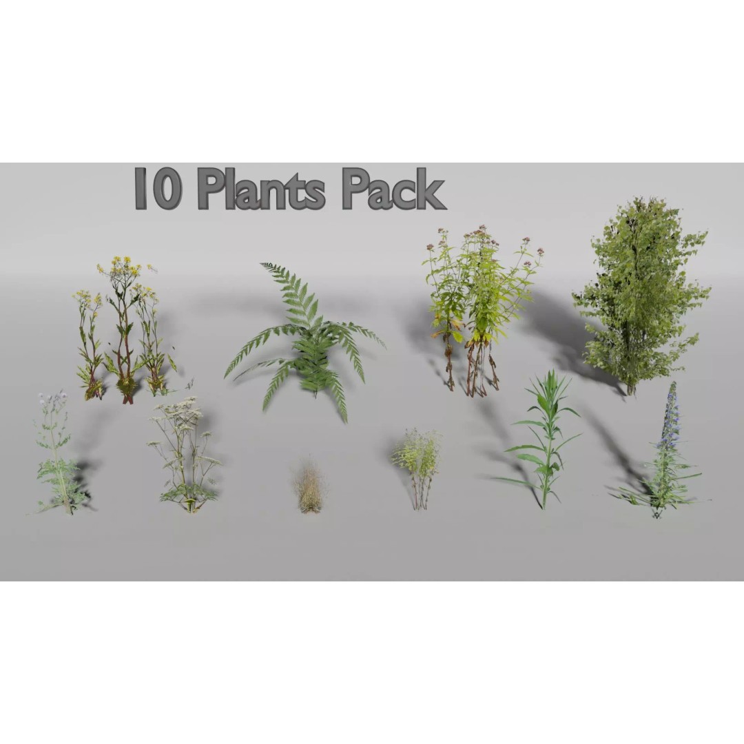 Low-Poly Plants 3D Model – Game-Ready Asset, Blender, FBX - View 2