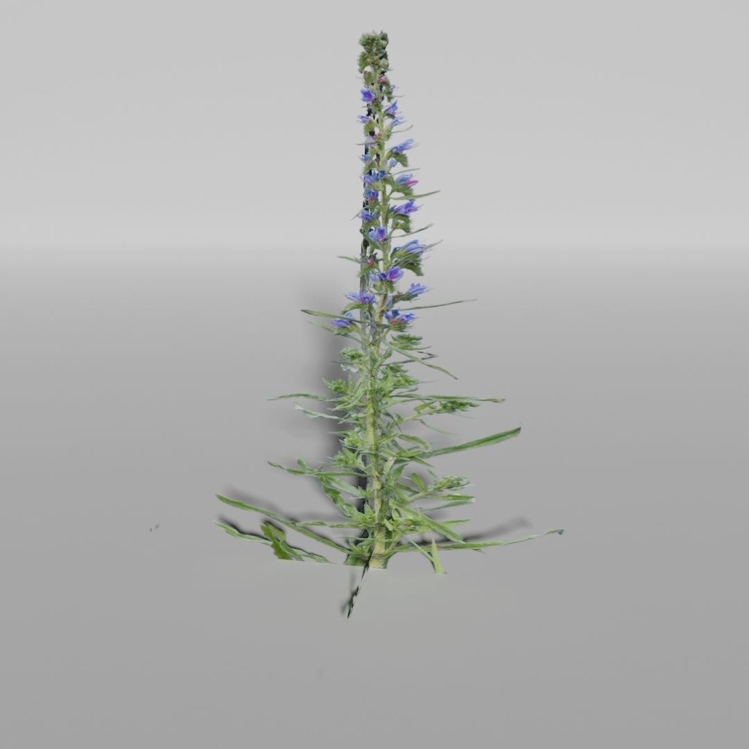 Low-Poly Plants 3D Model – Game-Ready Asset, Blender, FBX - View 4