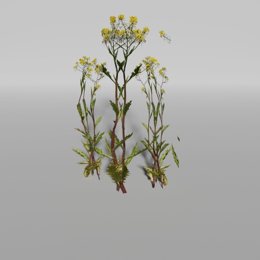 Low-Poly Plants 3D Model – Game-Ready Asset, Blender, FBX - View 5