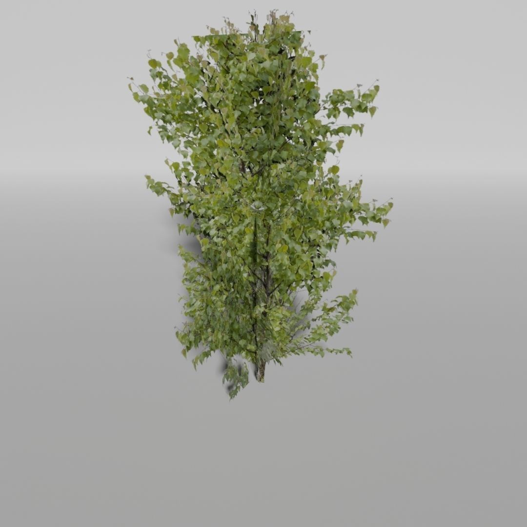 Low-Poly Plants 3D Model – Game-Ready Asset, Blender, FBX - View 8