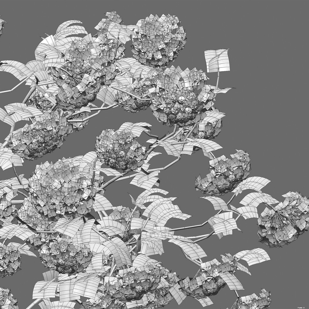 Viburnum opulus Roseum 3D Model – PBR Plant Asset, FBX - View 6