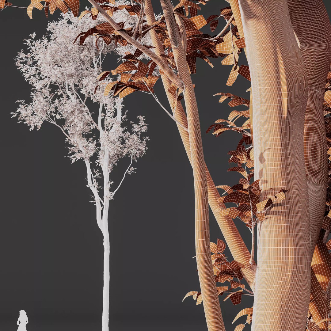 Celtis Australis and Acer Pseudoplatanus 3D Model – High Poly Vegetation, FBX, OBJ, Blender