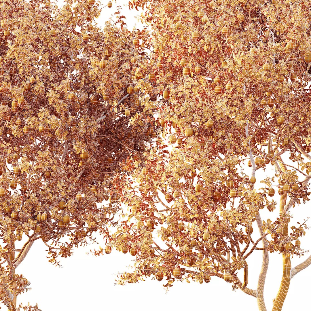 Meyer Lemon and Orange 3D Model – High Poly Citrus Trees for Archviz