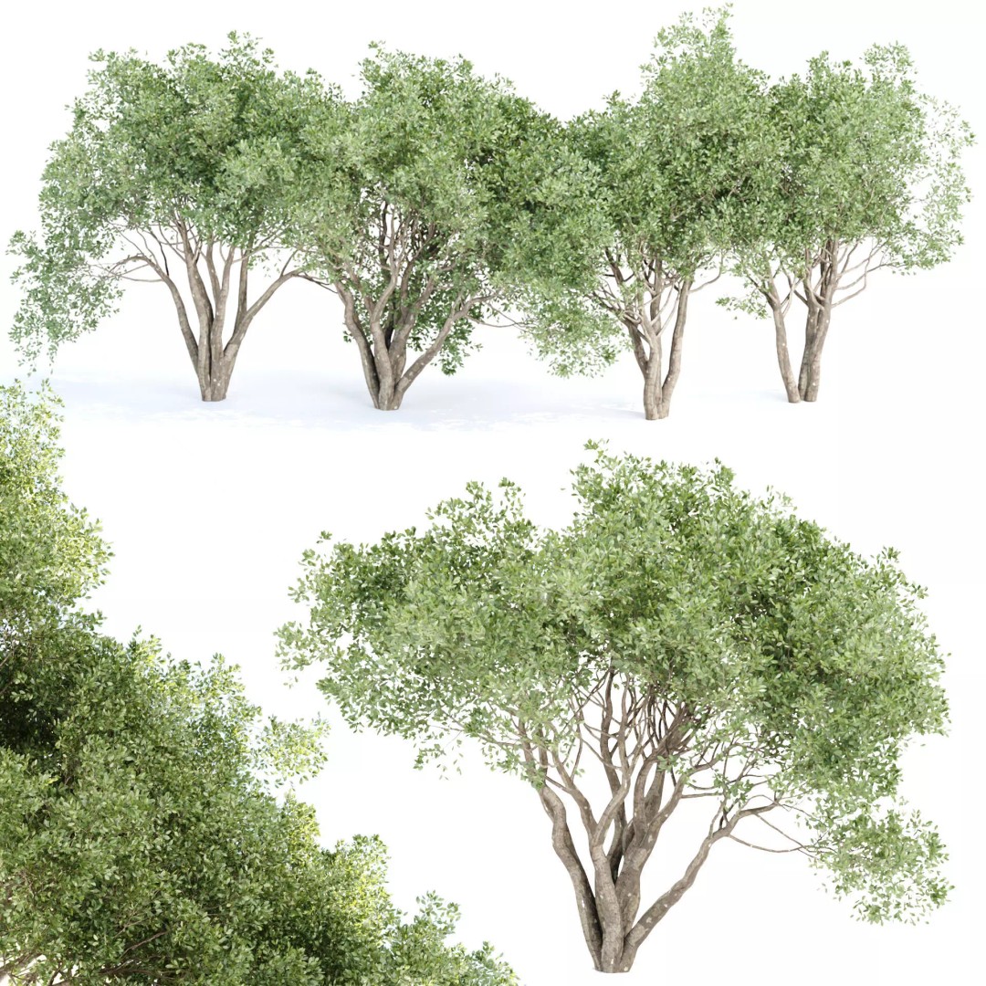 Shrubs Collection 3D Model – High Poly Bushes, FBX & OBJ Formats - View 2