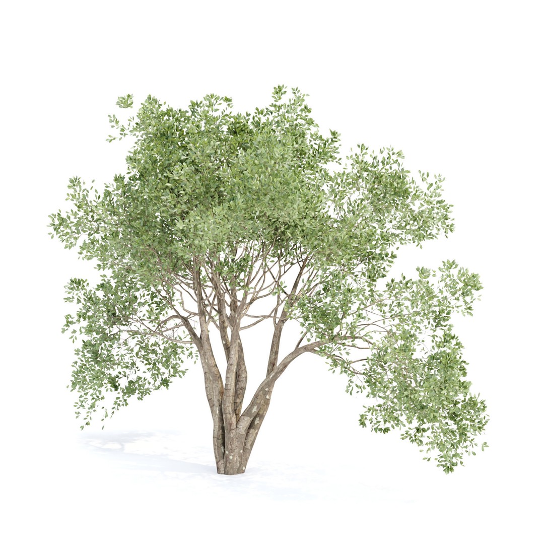 Shrubs Collection 3D Model – High Poly Bushes, FBX & OBJ Formats - View 4