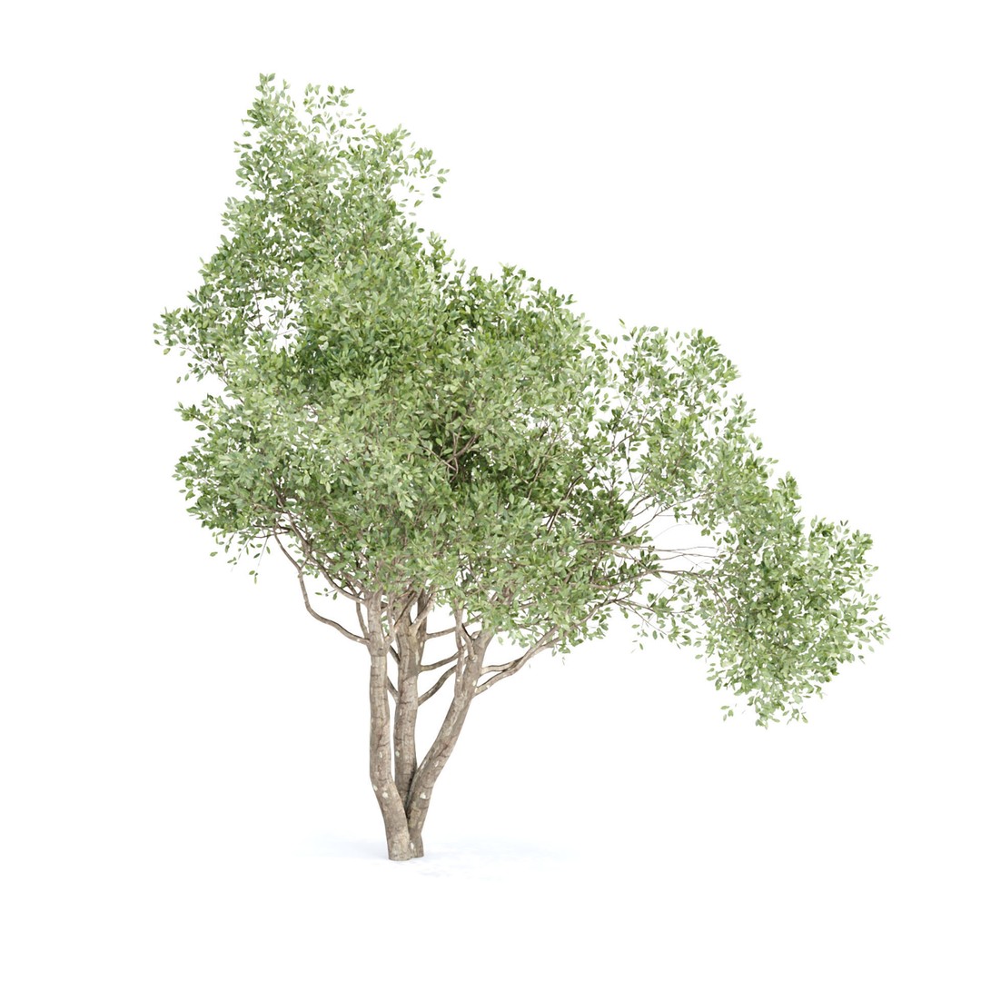 Shrubs Collection 3D Model – High Poly Bushes, FBX & OBJ Formats - View 5