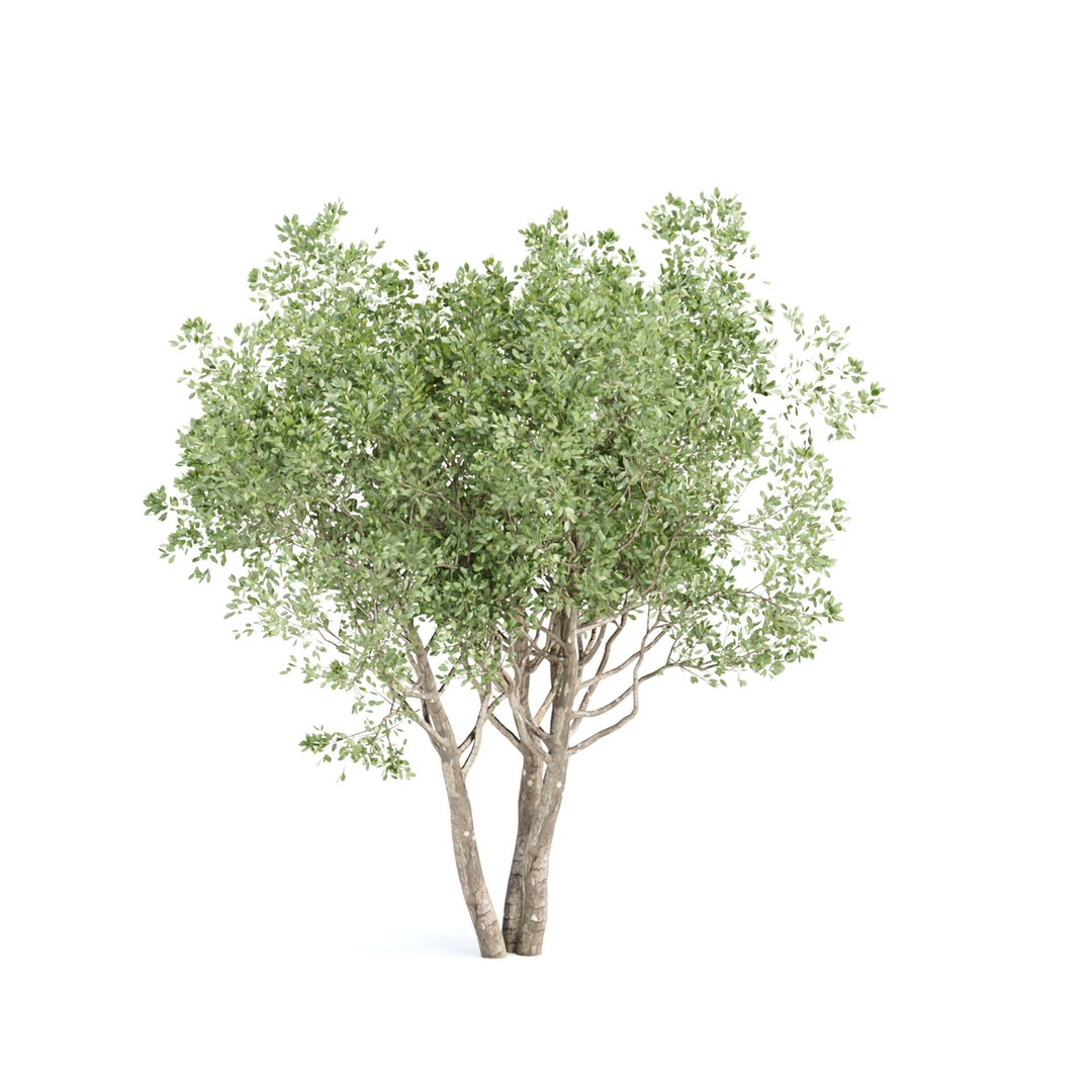 Shrubs Collection 3D Model – High Poly Bushes, FBX & OBJ Formats - View 6