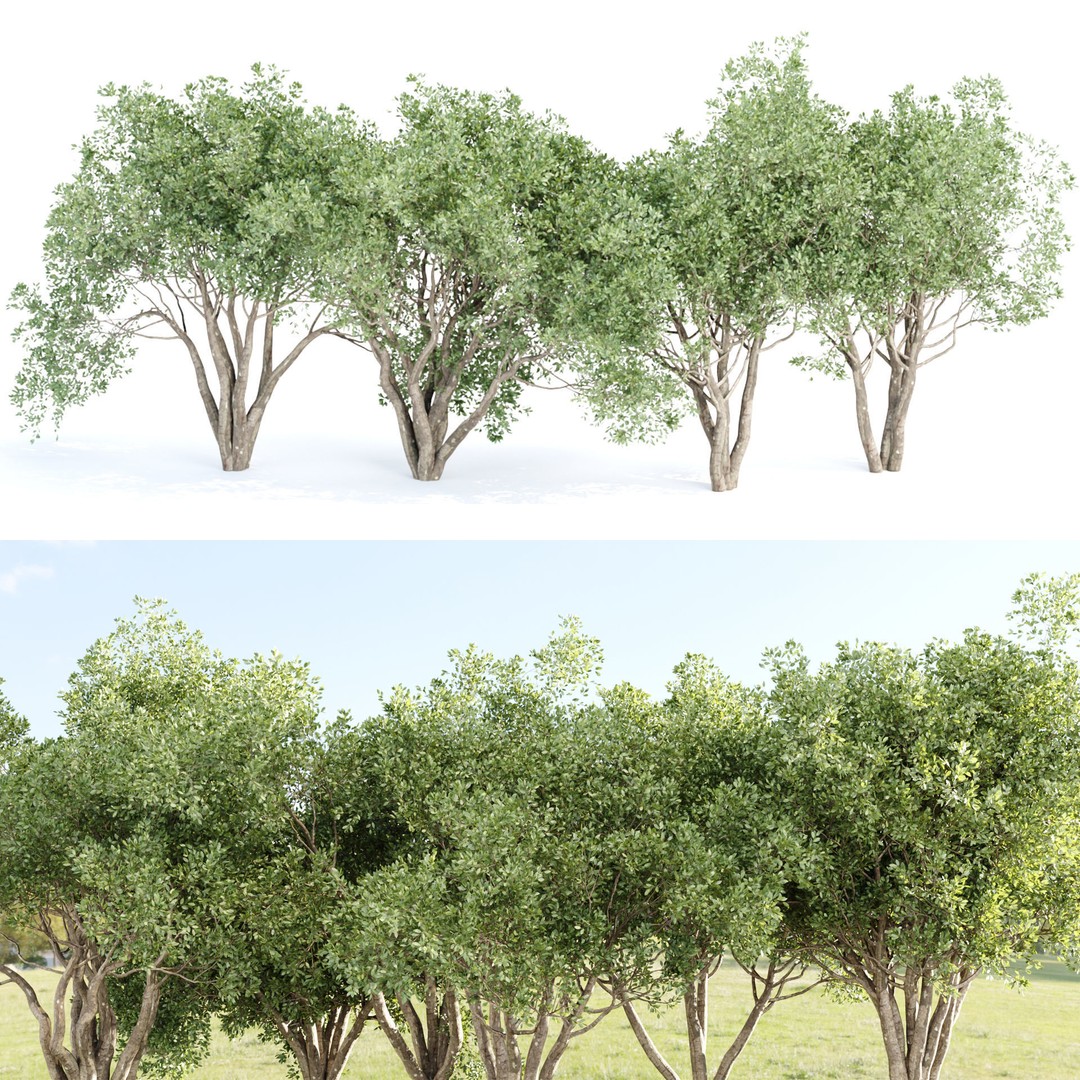 Shrubs Collection 3D Model – High Poly Bushes, FBX & OBJ Formats - View 7
