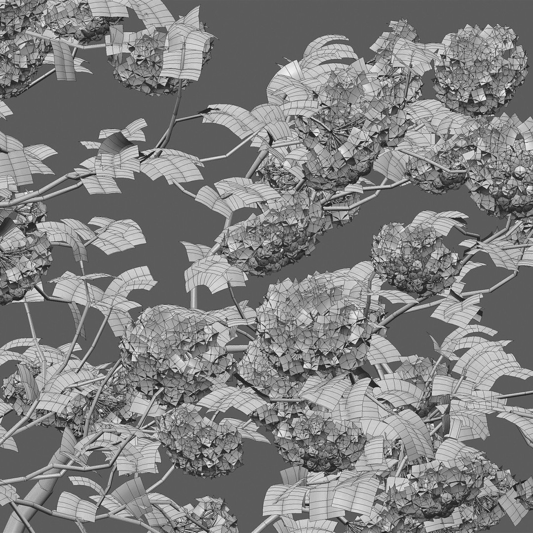 Viburnum opulus Roseum 3D Model – PBR Plant Asset, FBX, Blender - View 6
