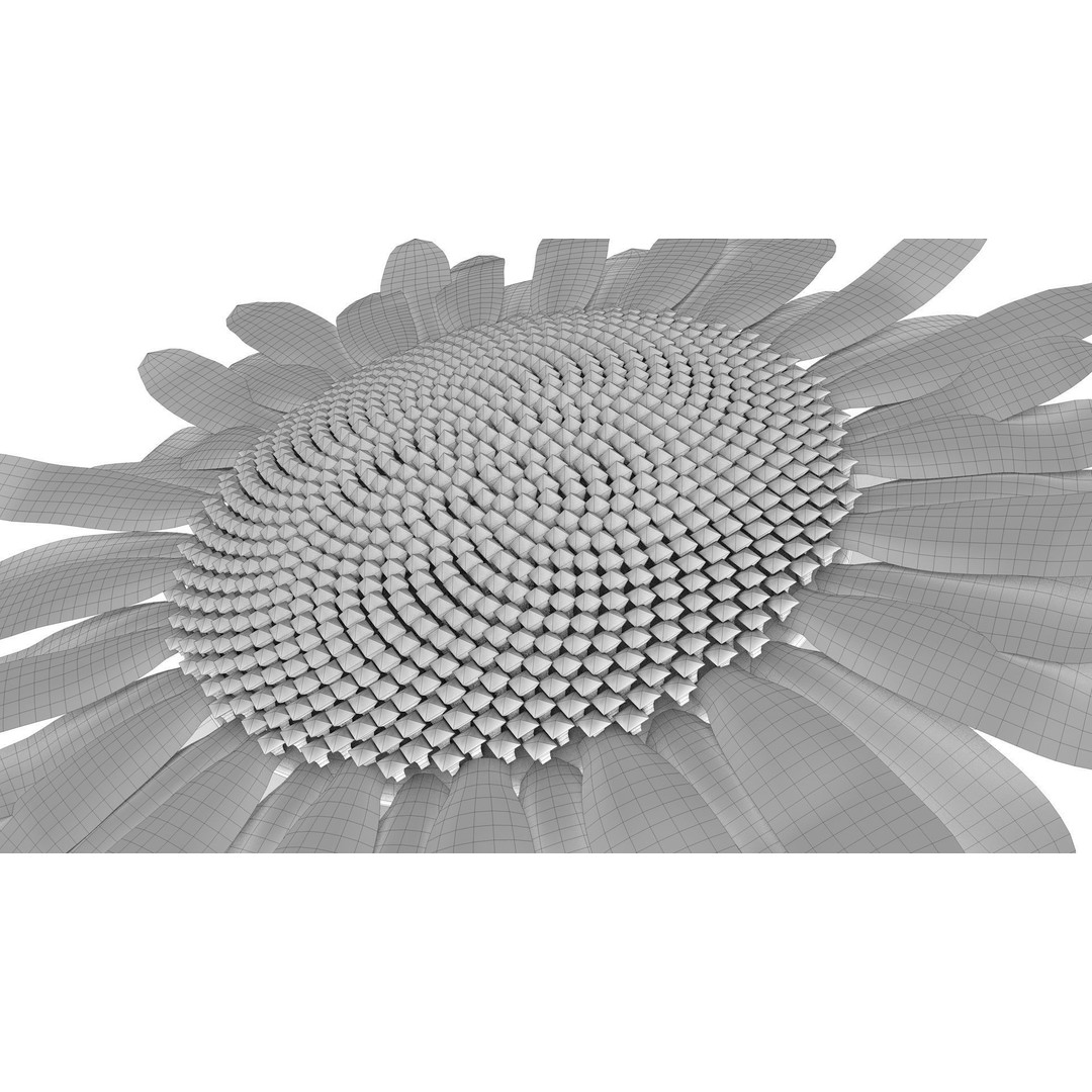 Sunflower 3D Model – Low Poly Game Asset, FBX & OBJ Formats