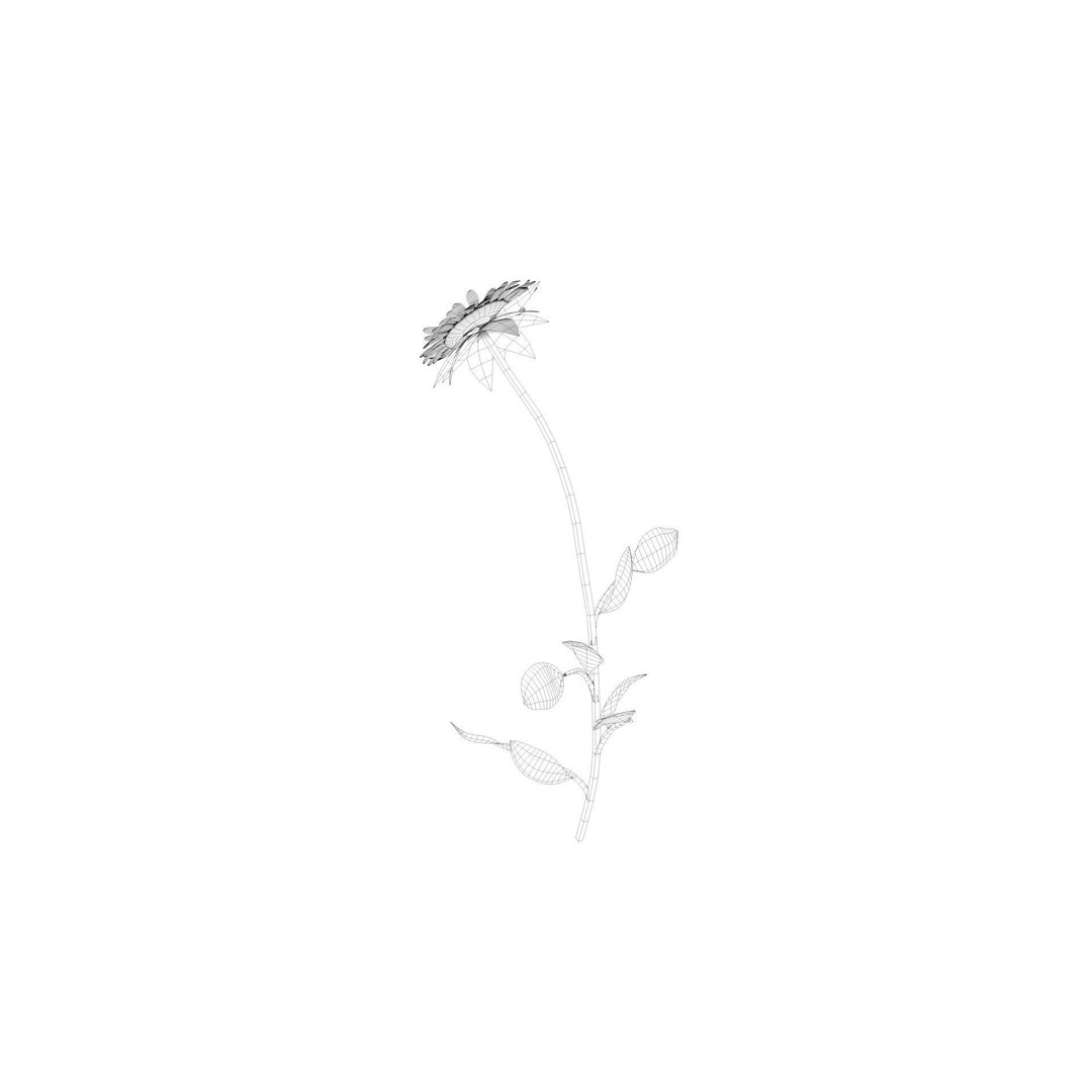 Sunflower 3D Model – Low Poly Game Asset, FBX & OBJ Formats - View 11