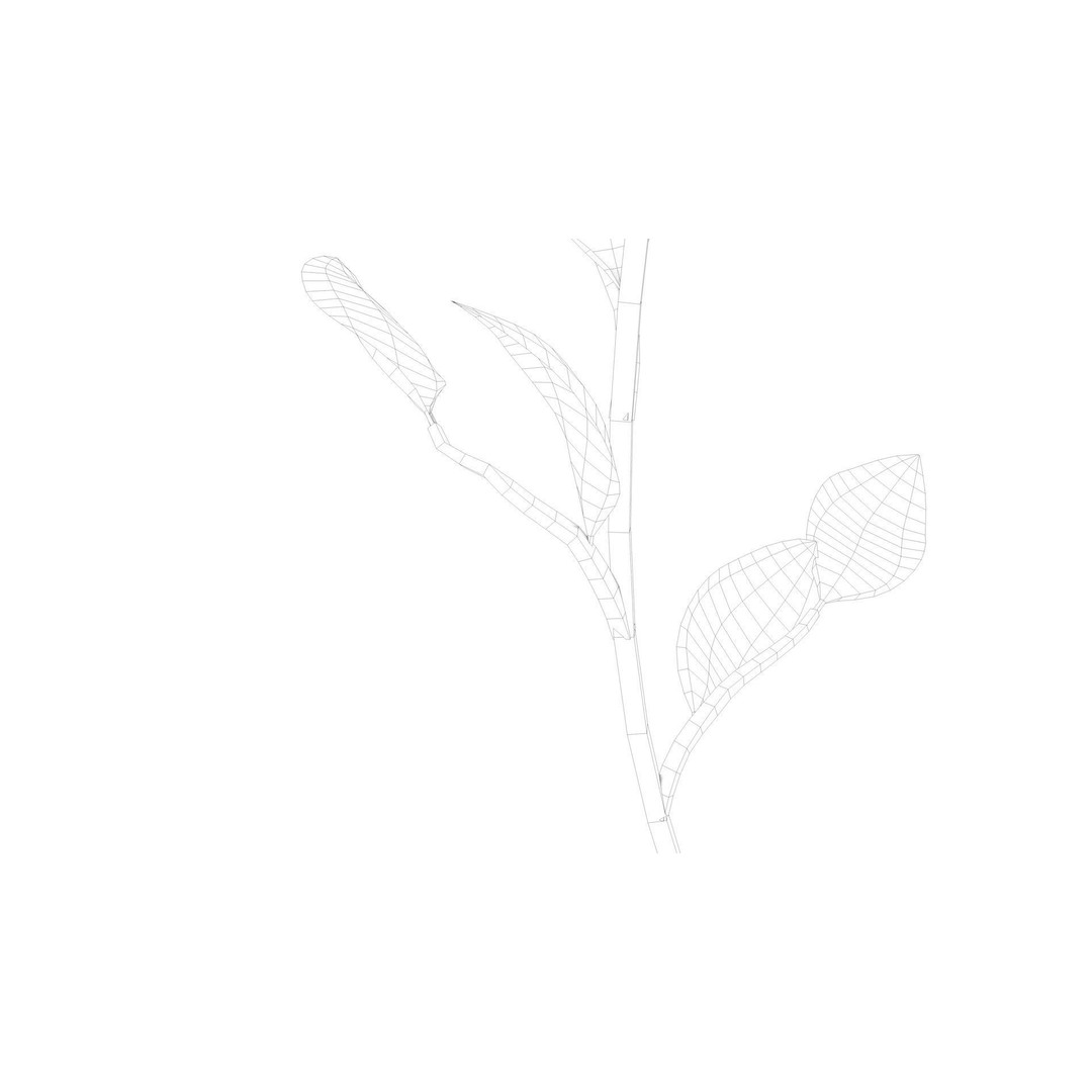 Sunflower 3D Model – Low Poly Game Asset, FBX & OBJ Formats - View 12