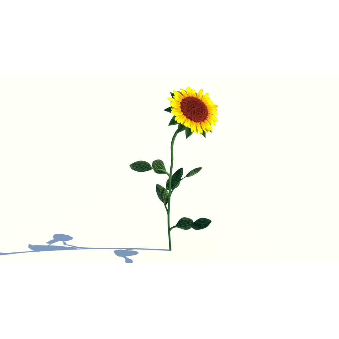 Sunflower 3D Model – Low Poly Game Asset, FBX & OBJ Formats - View 3