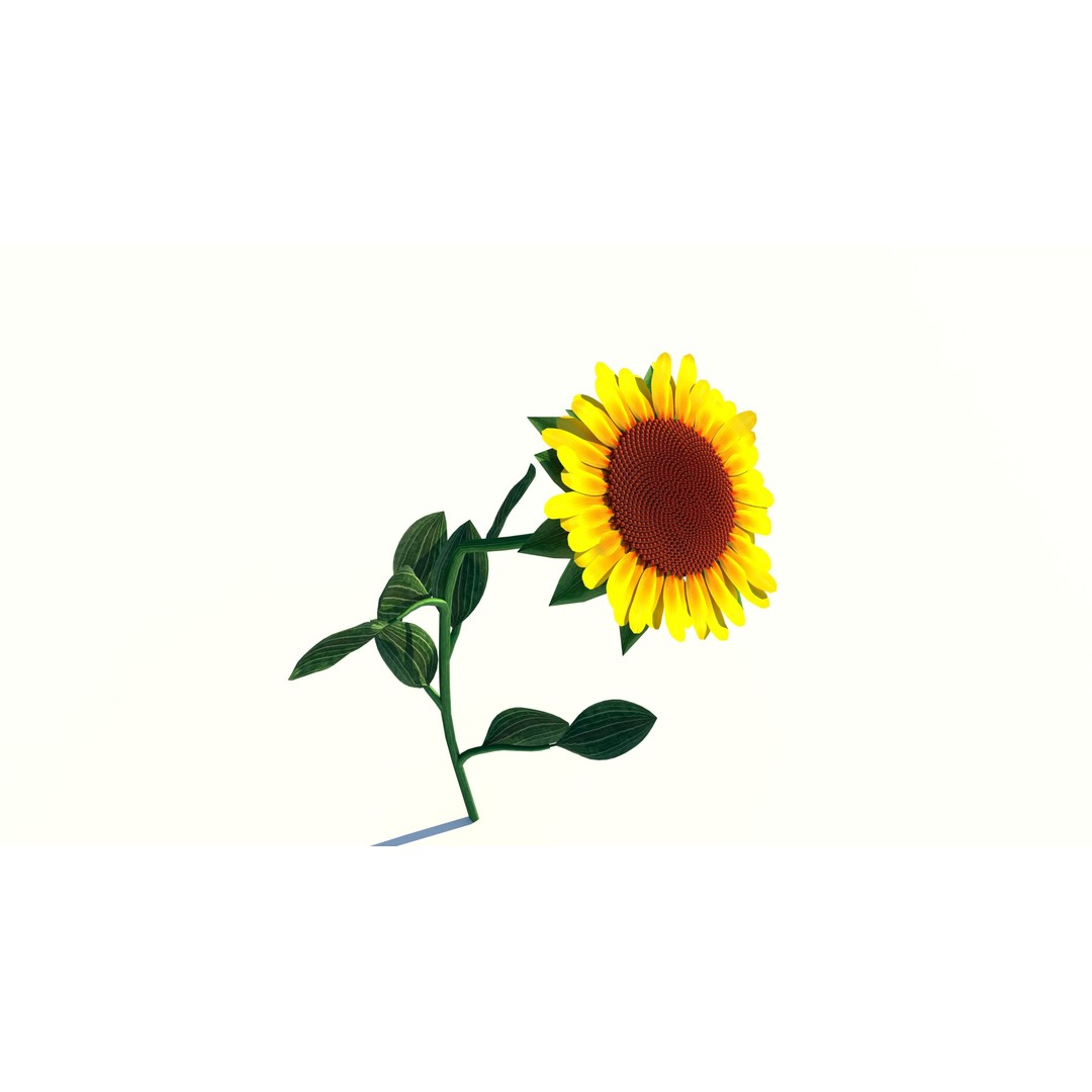 Sunflower 3D Model – Low Poly Game Asset, FBX & OBJ Formats - View 4