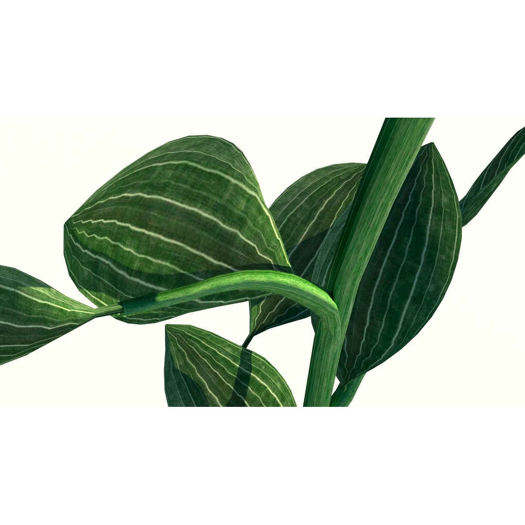 Sunflower 3D Model – Low Poly Game Asset, FBX & OBJ Formats - View 5