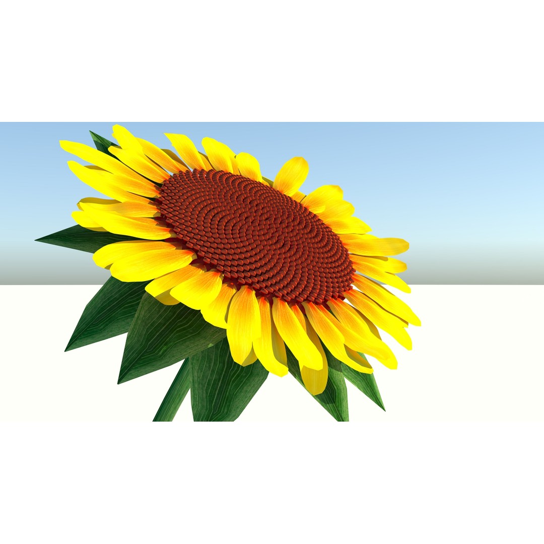 Sunflower 3D Model – Low Poly Game Asset, FBX & OBJ Formats - View 6