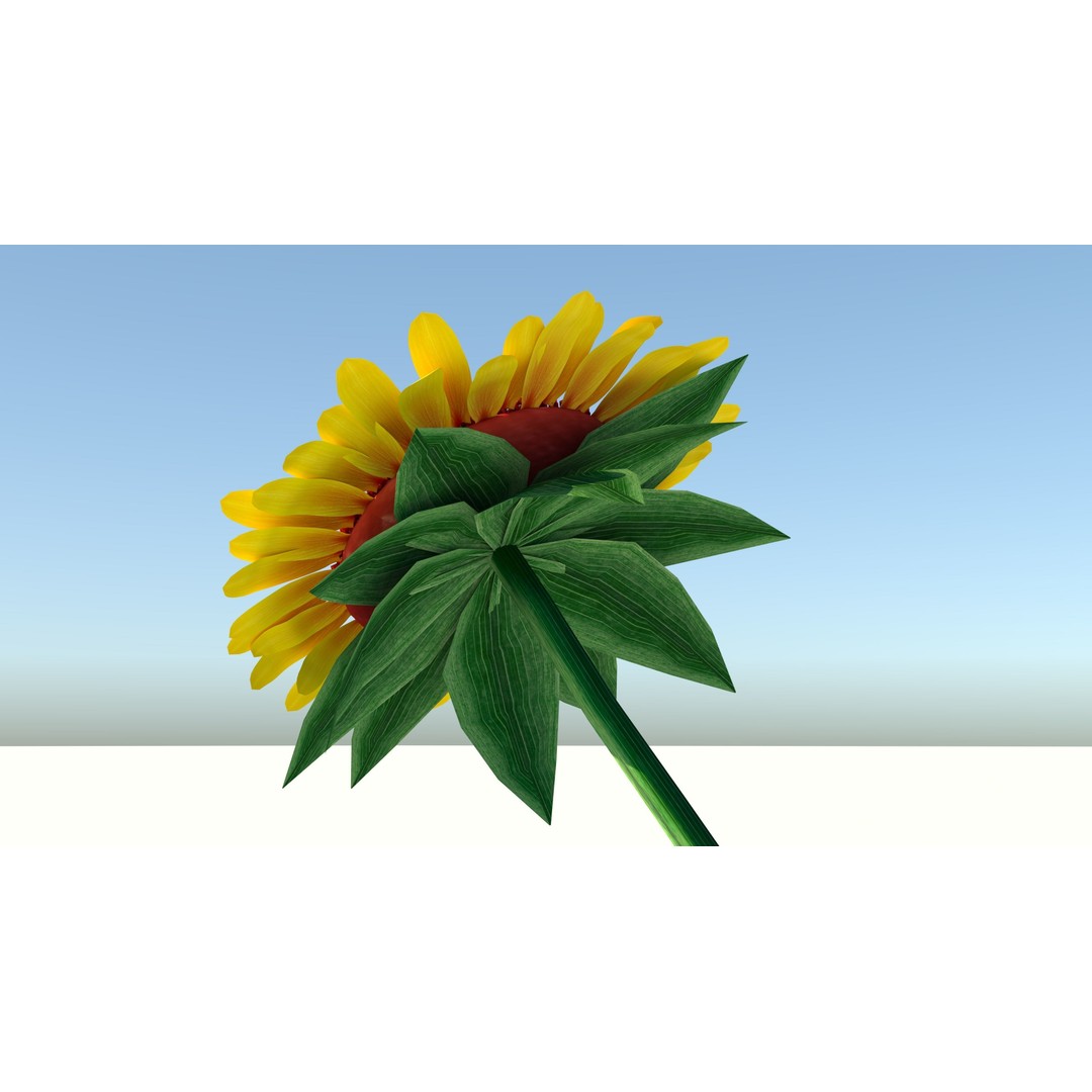Sunflower 3D Model – Low Poly Game Asset, FBX & OBJ Formats - View 8