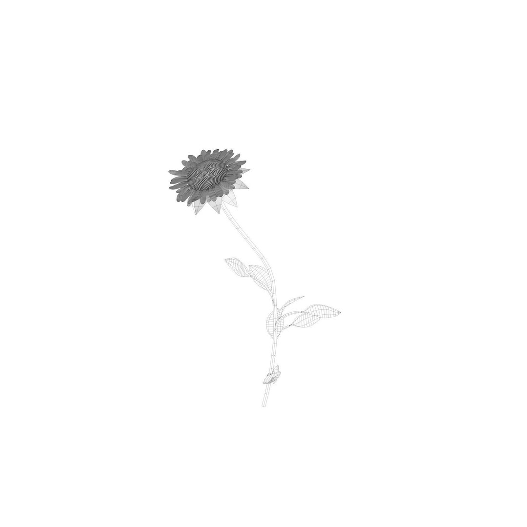 Sunflower 3D Model – Low Poly Game Asset, FBX & OBJ Formats - View 9