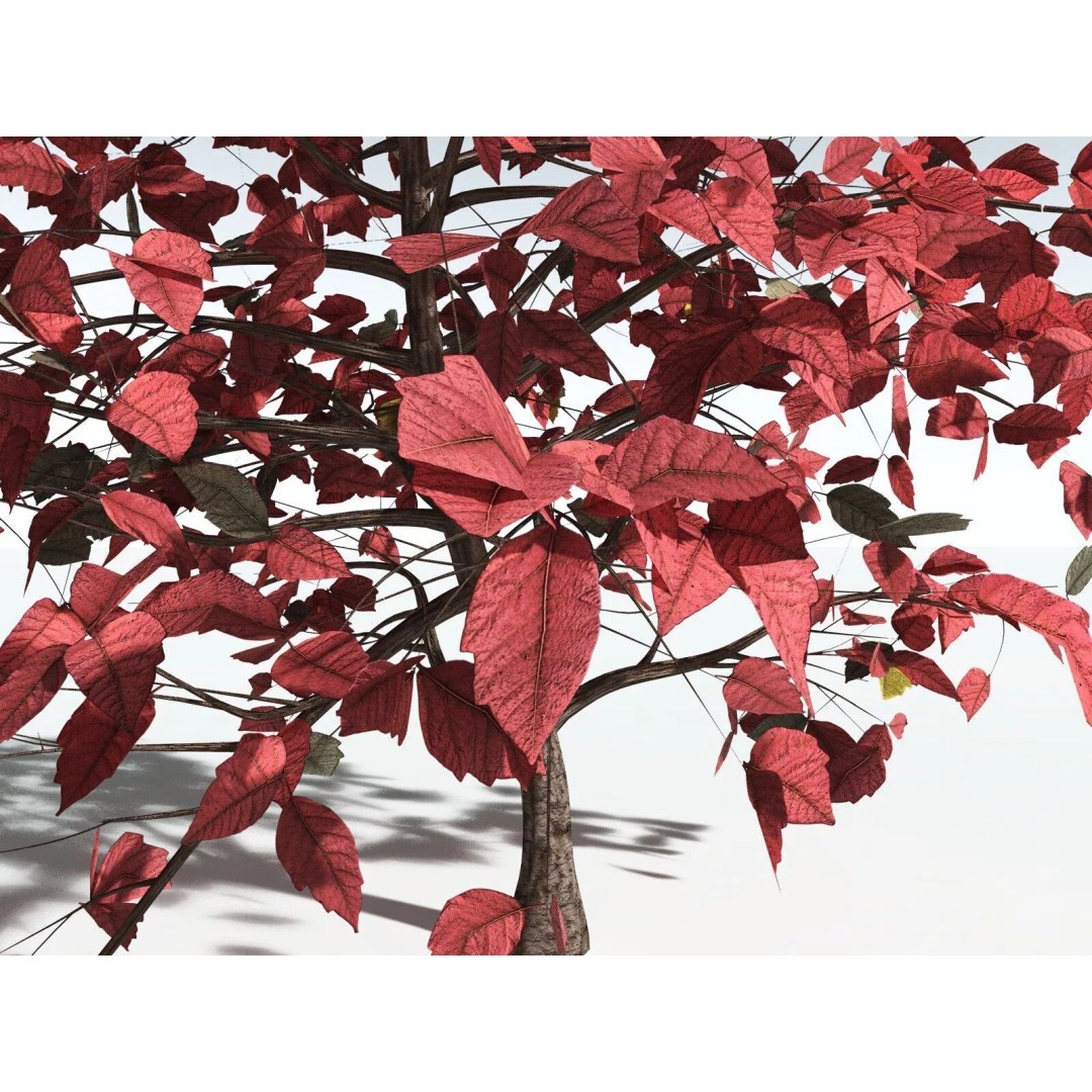 Western Poison Oak 3D Model – Low Poly Game Asset, FBX, PBR Textures - View 11