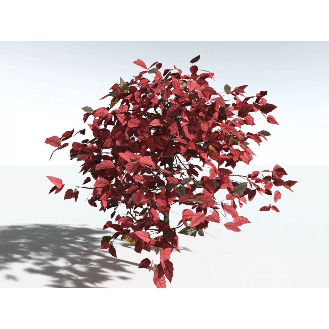 Western Poison Oak 3D Model – Low Poly Game Asset, FBX, PBR Textures - View 12