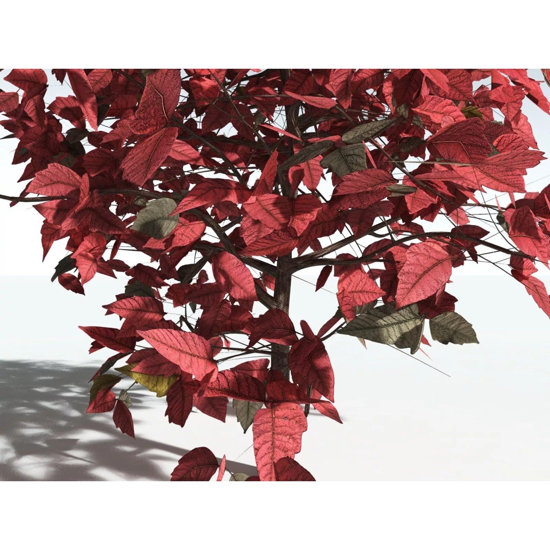 Western Poison Oak 3D Model – Low Poly Game Asset, FBX, PBR Textures - View 13