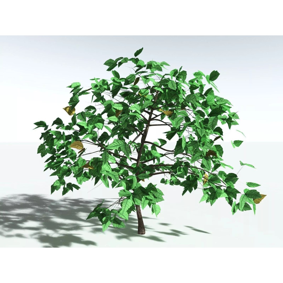 Western Poison Oak 3D Model – Low Poly Game Asset, FBX, PBR Textures - View 2