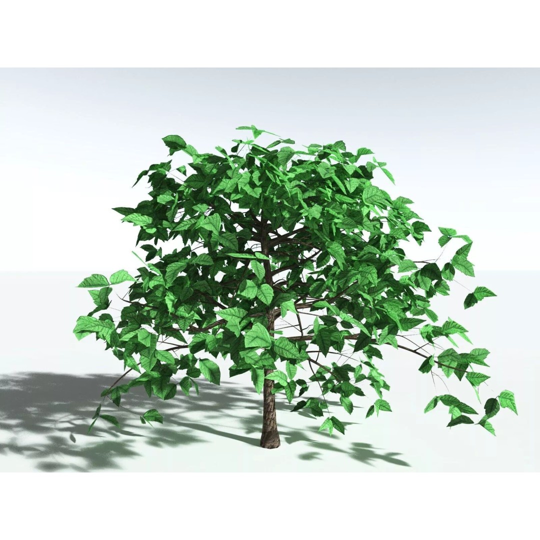 Western Poison Oak 3D Model – Low Poly Game Asset, FBX, PBR Textures - View 20