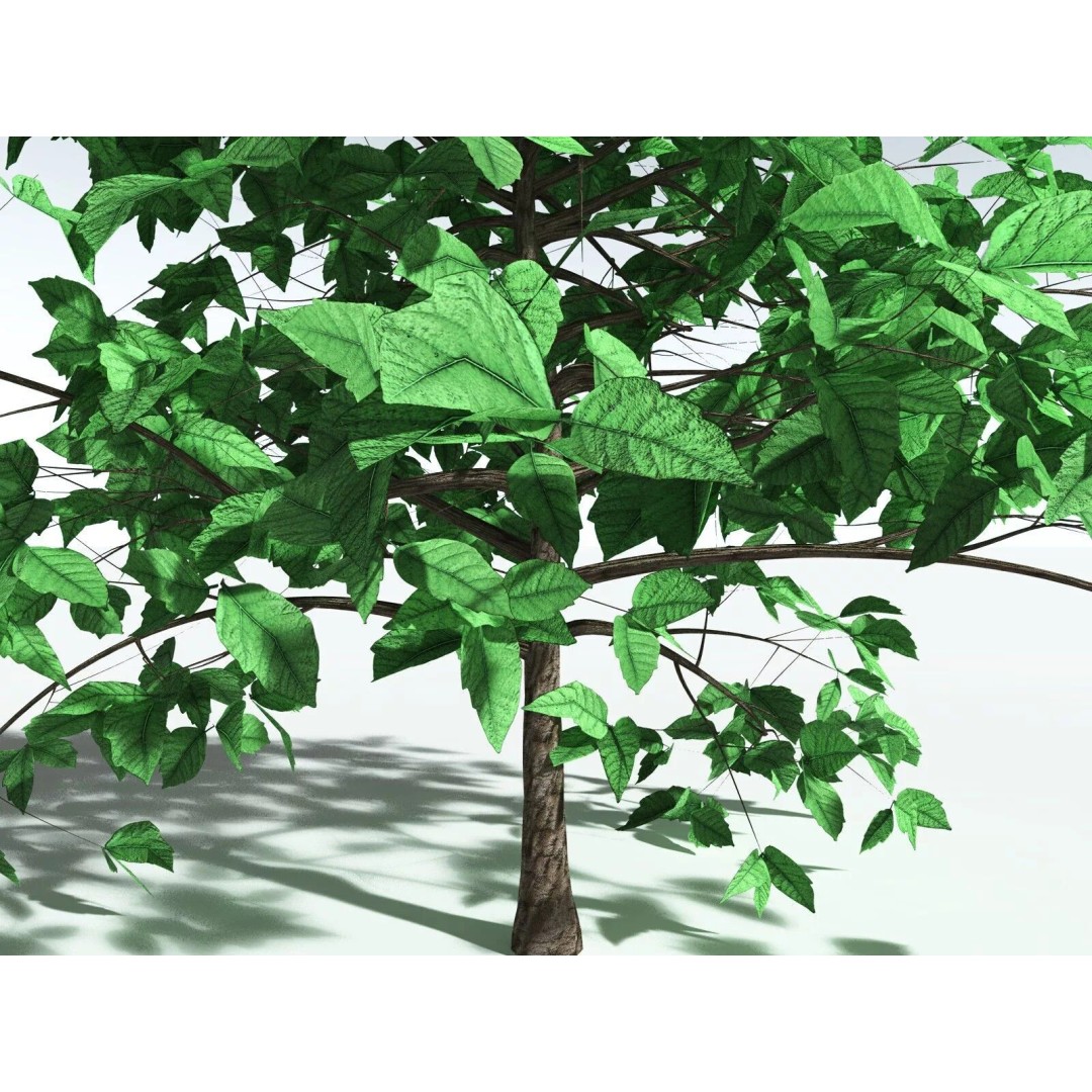 Western Poison Oak 3D Model – Low Poly Game Asset, FBX, PBR Textures - View 21