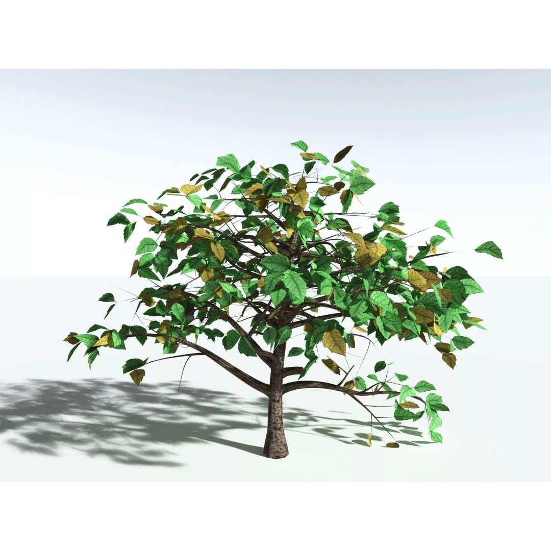 Western Poison Oak 3D Model – Low Poly Game Asset, FBX, PBR Textures - View 22