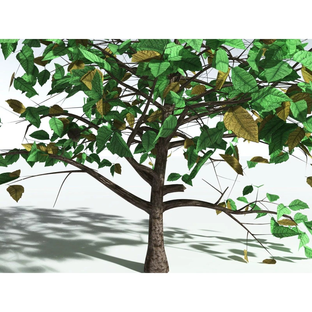 Western Poison Oak 3D Model – Low Poly Game Asset, FBX, PBR Textures - View 23