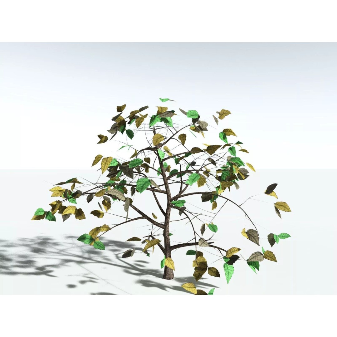 Western Poison Oak 3D Model – Low Poly Game Asset, FBX, PBR Textures - View 24