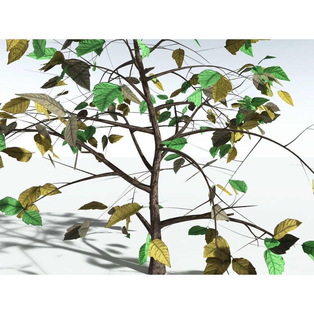 Western Poison Oak 3D Model – Low Poly Game Asset, FBX, PBR Textures - View 25