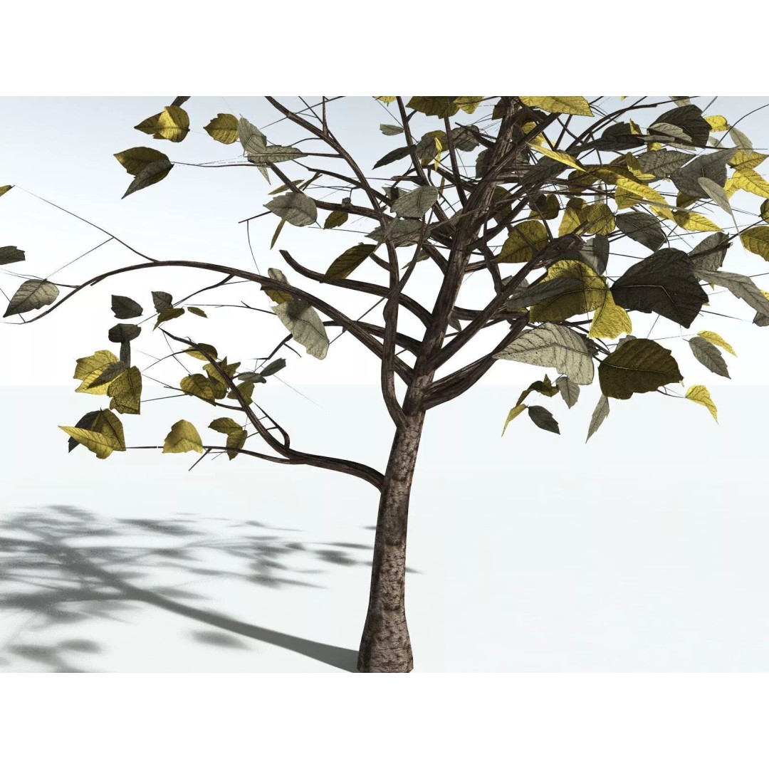 Western Poison Oak 3D Model – Low Poly Game Asset, FBX, PBR Textures - View 27