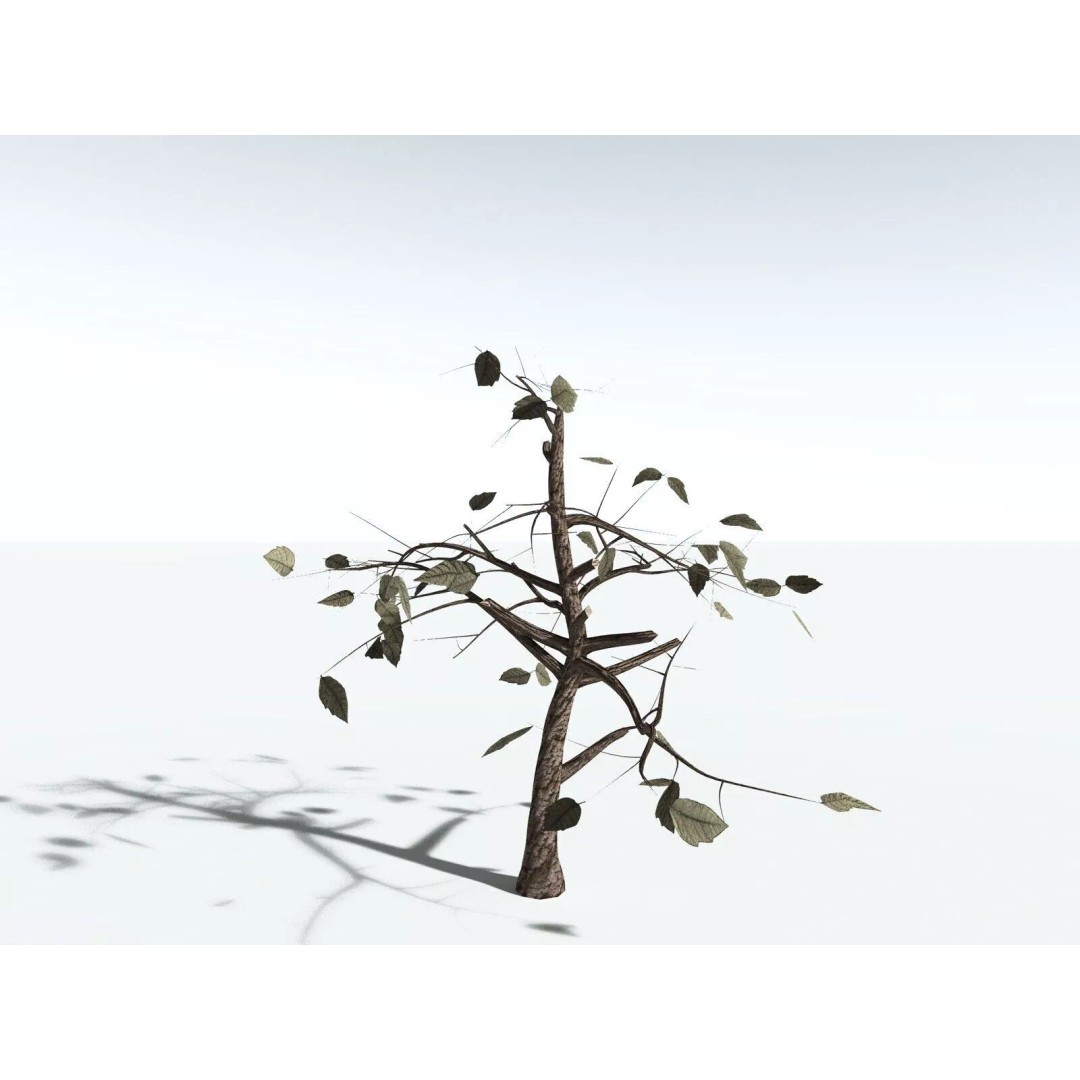 Western Poison Oak 3D Model – Low Poly Game Asset, FBX, PBR Textures - View 28