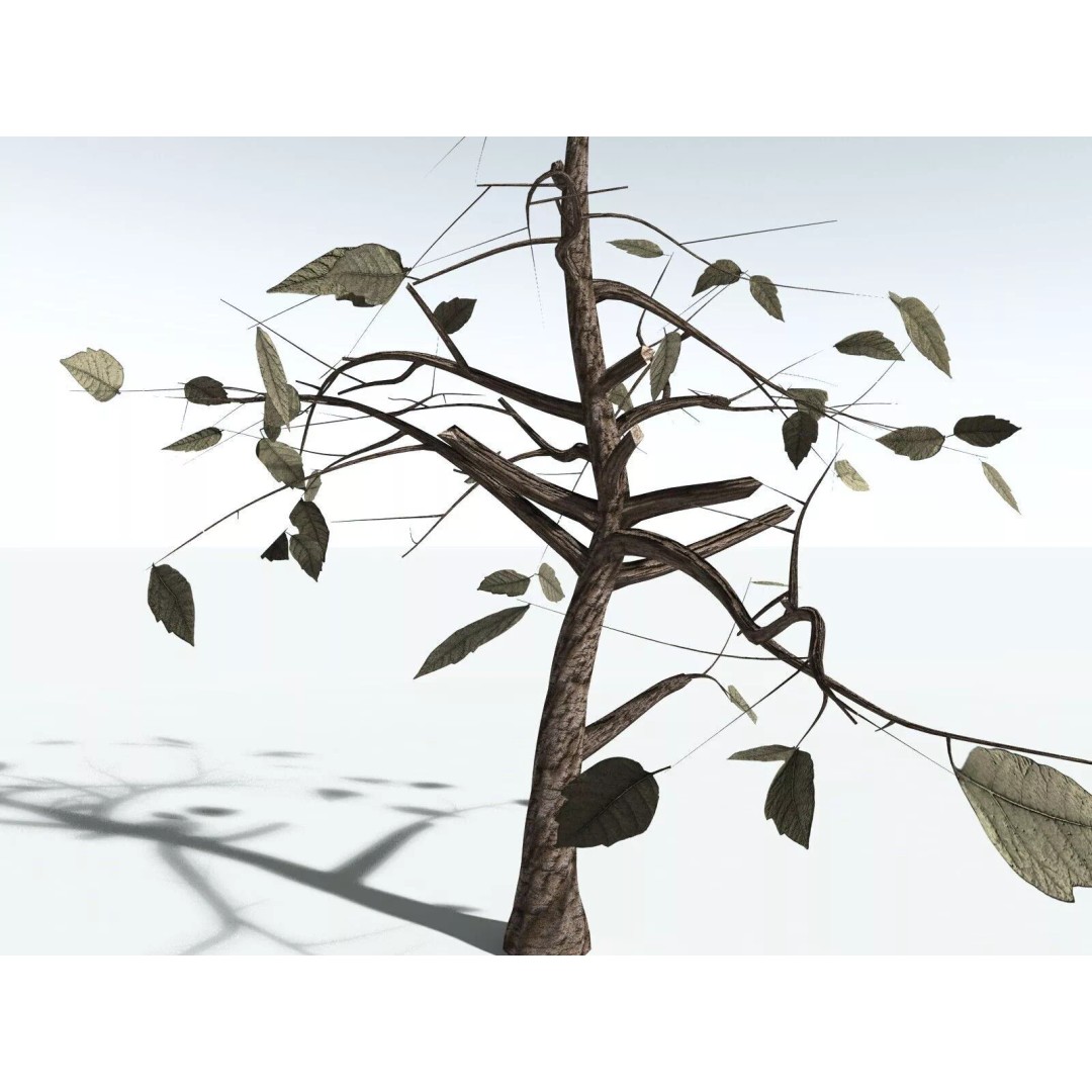 Western Poison Oak 3D Model – Low Poly Game Asset, FBX, PBR Textures - View 29